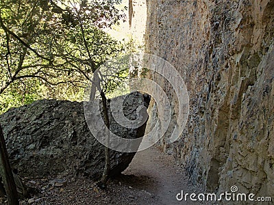 Shaded Trail Through Whitewater Canyon Stock Photo